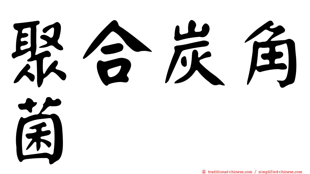 聚合炭角菌