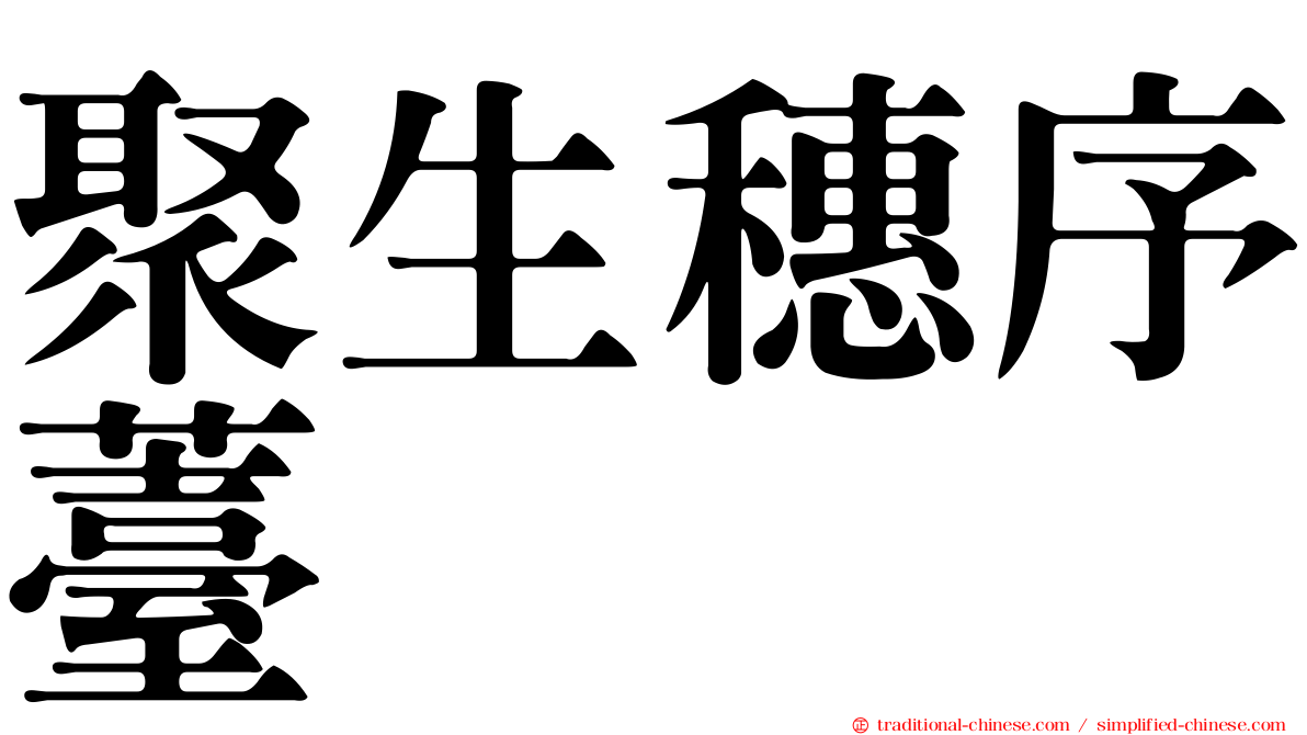 聚生穗序薹