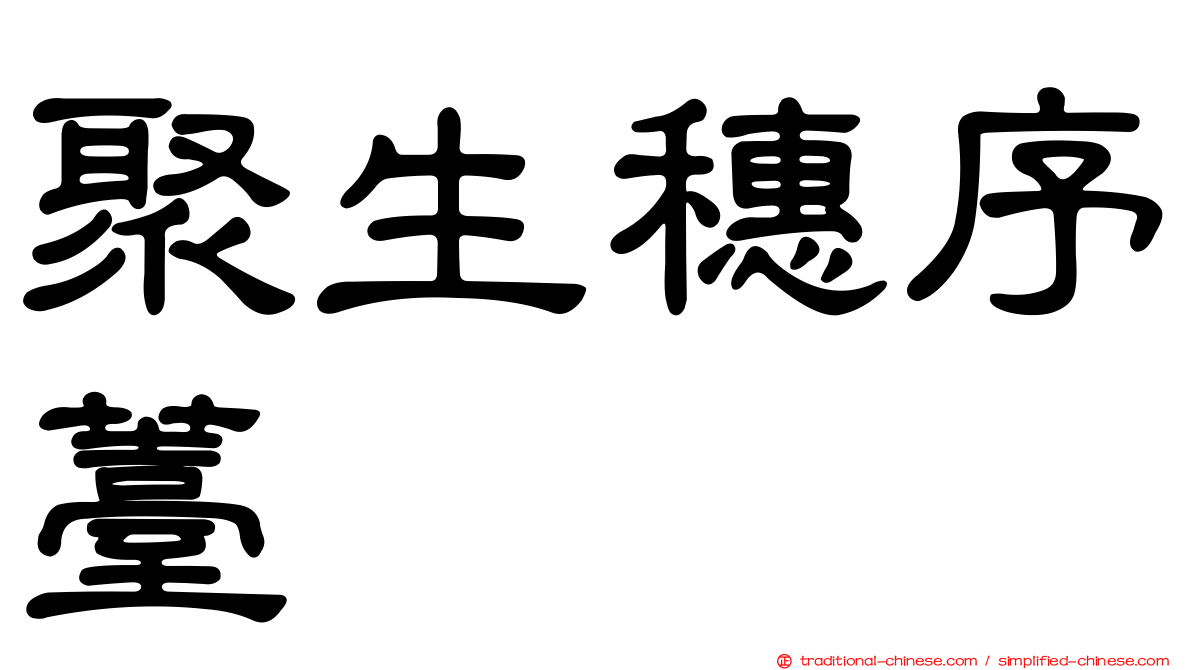 聚生穗序薹