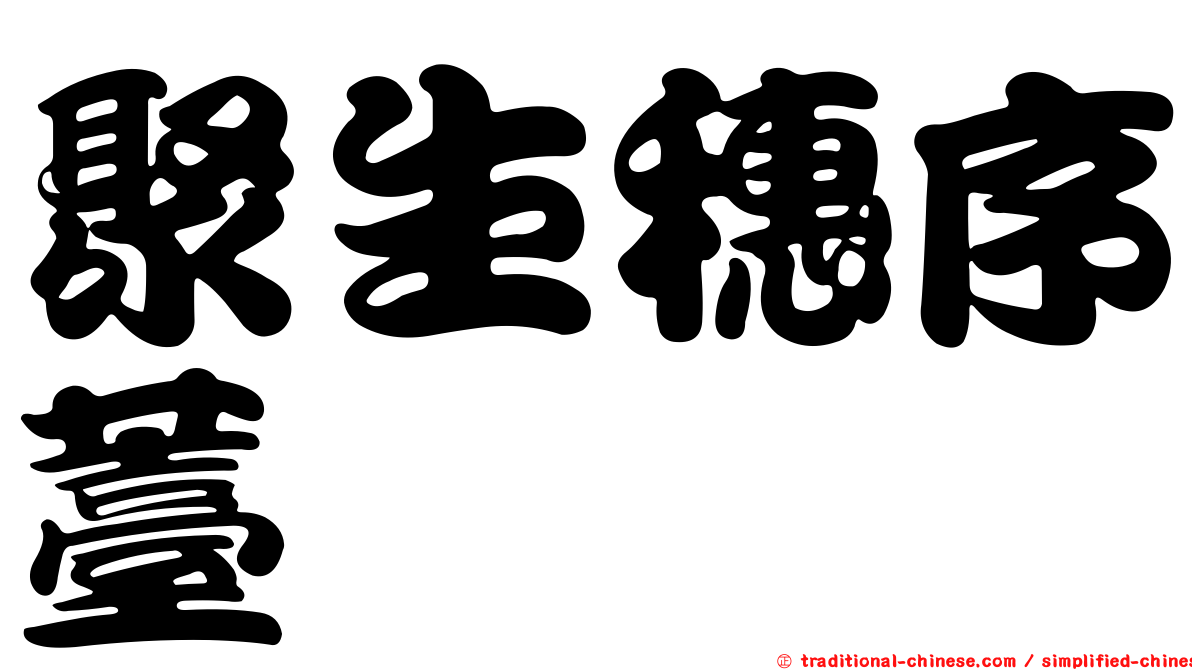 聚生穗序薹