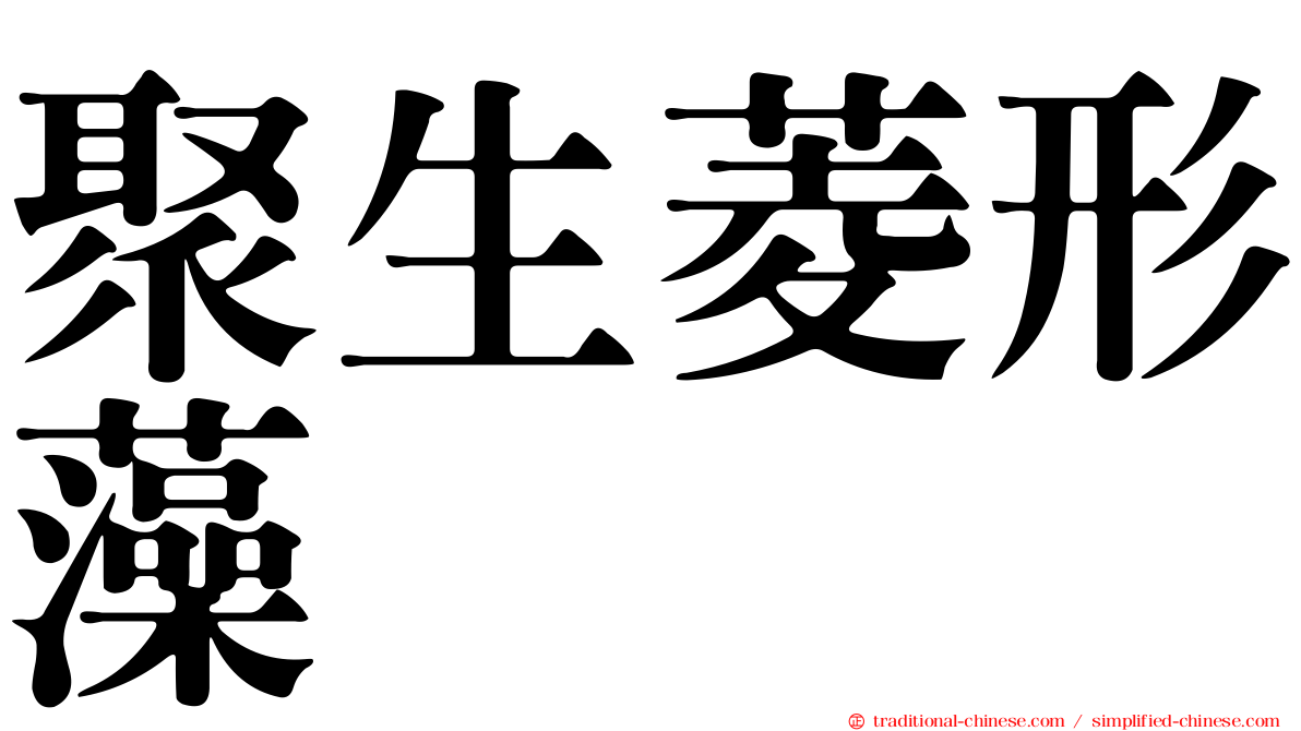 聚生菱形藻