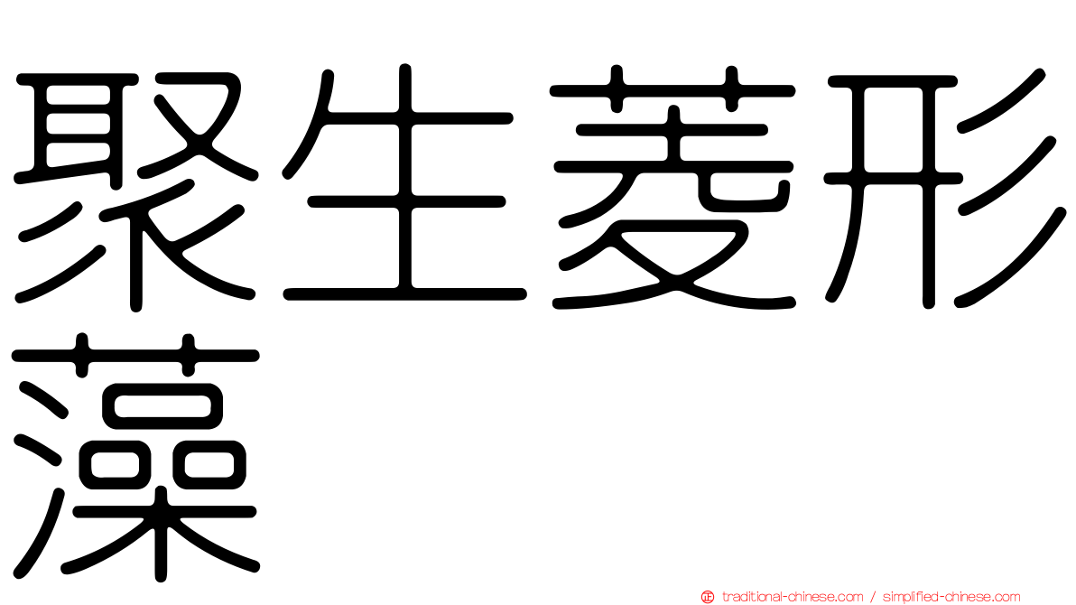 聚生菱形藻