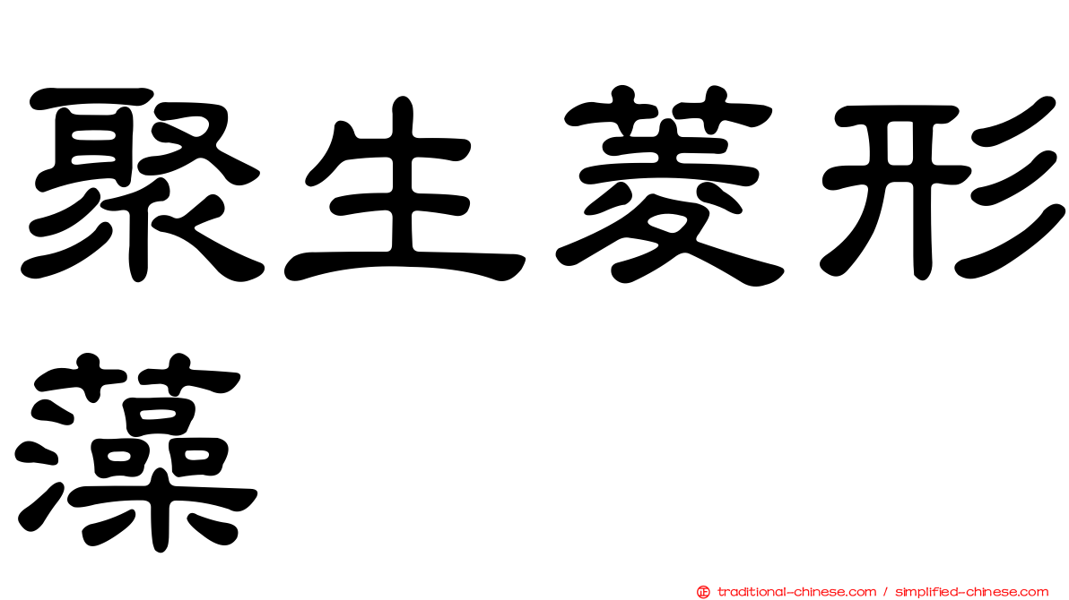 聚生菱形藻