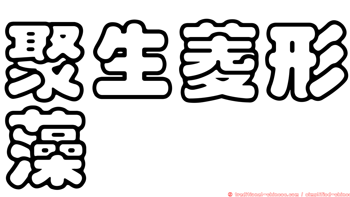 聚生菱形藻
