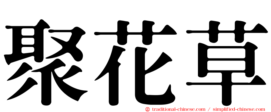 聚花草