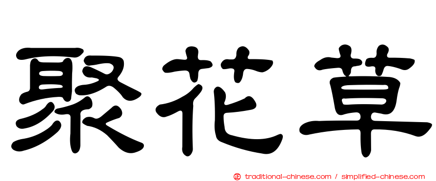 聚花草