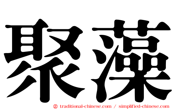 聚藻