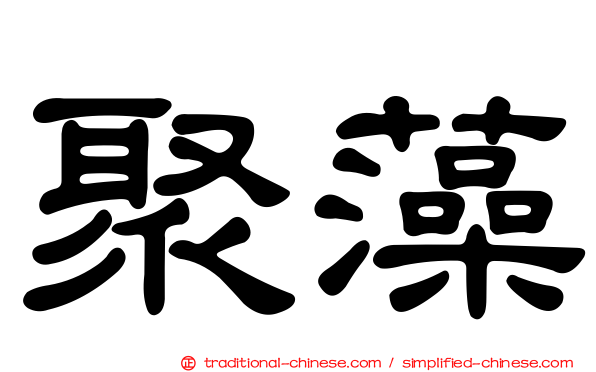 聚藻