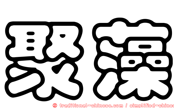 聚藻
