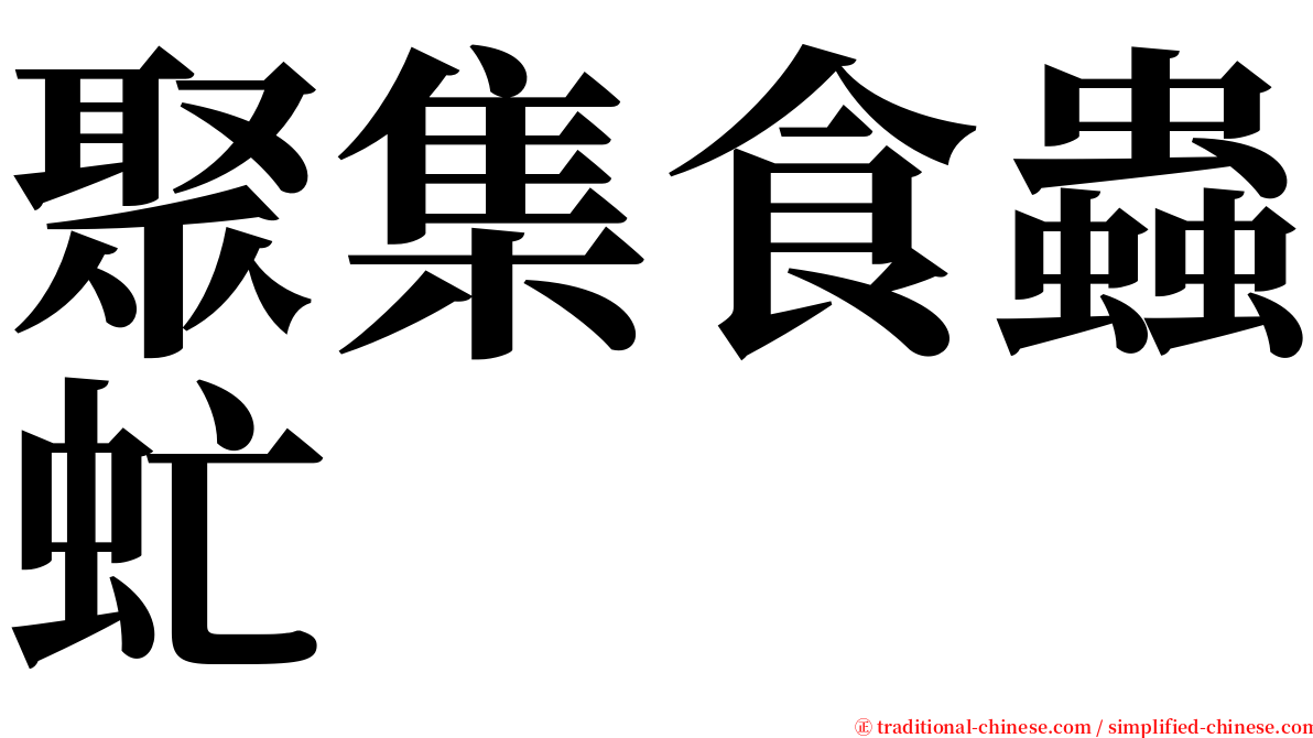 聚集食蟲虻 serif font