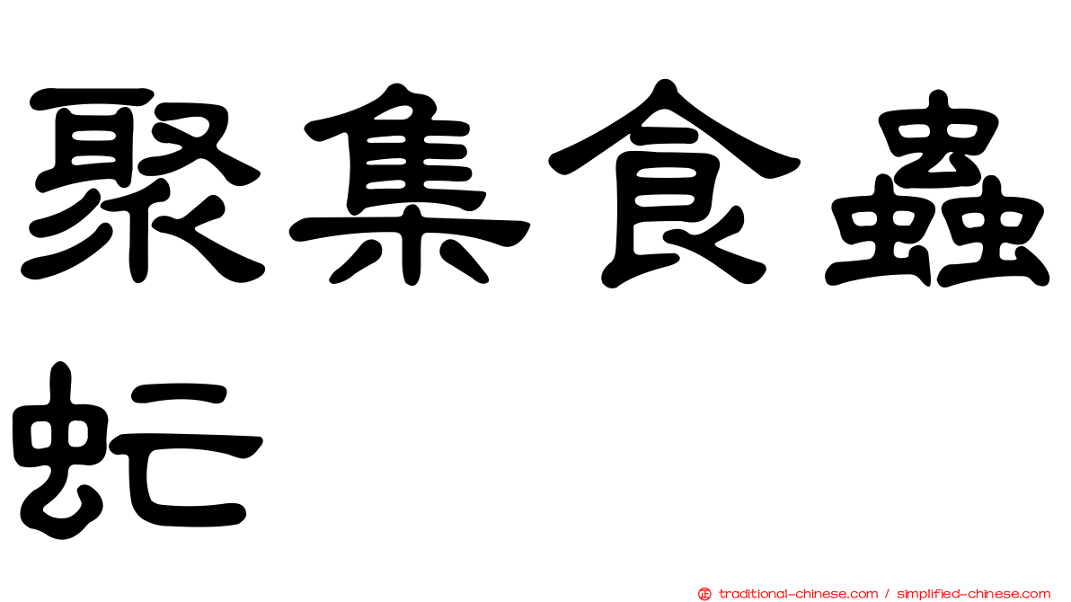 聚集食蟲虻