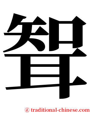 聟 serif font