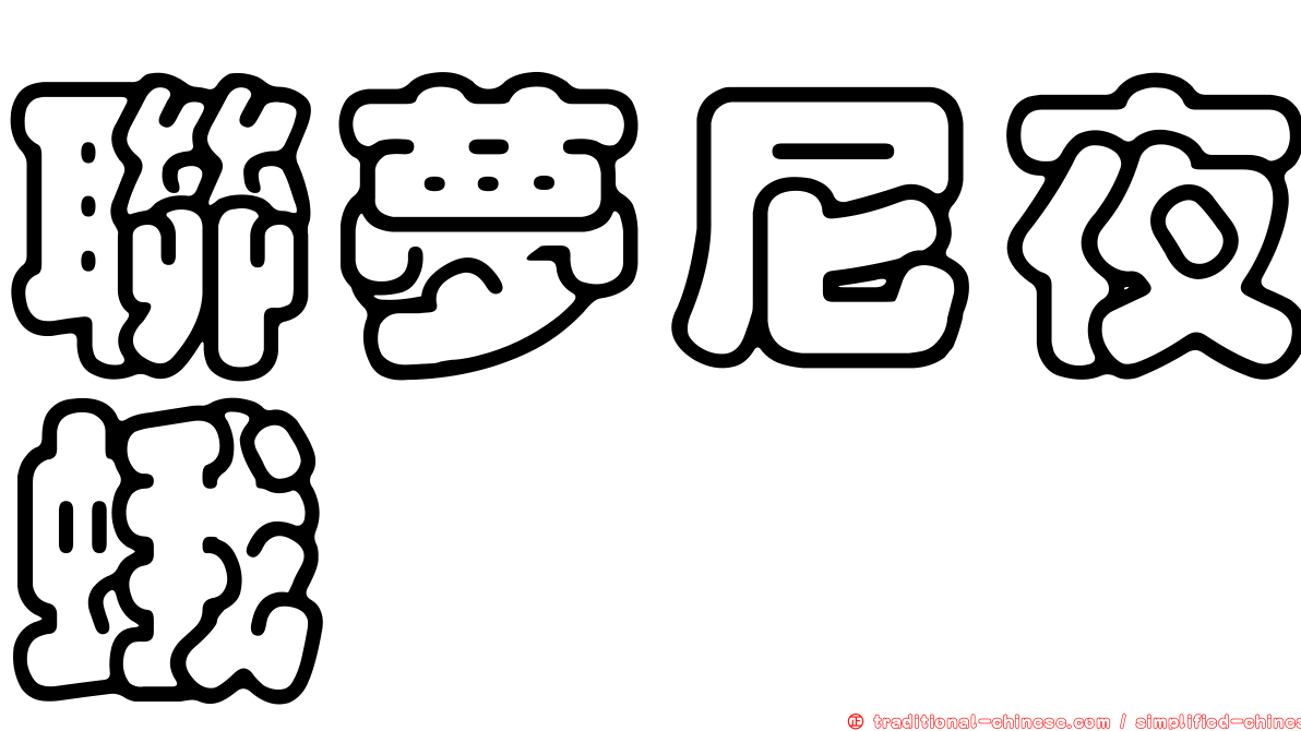 聯夢尼夜蛾