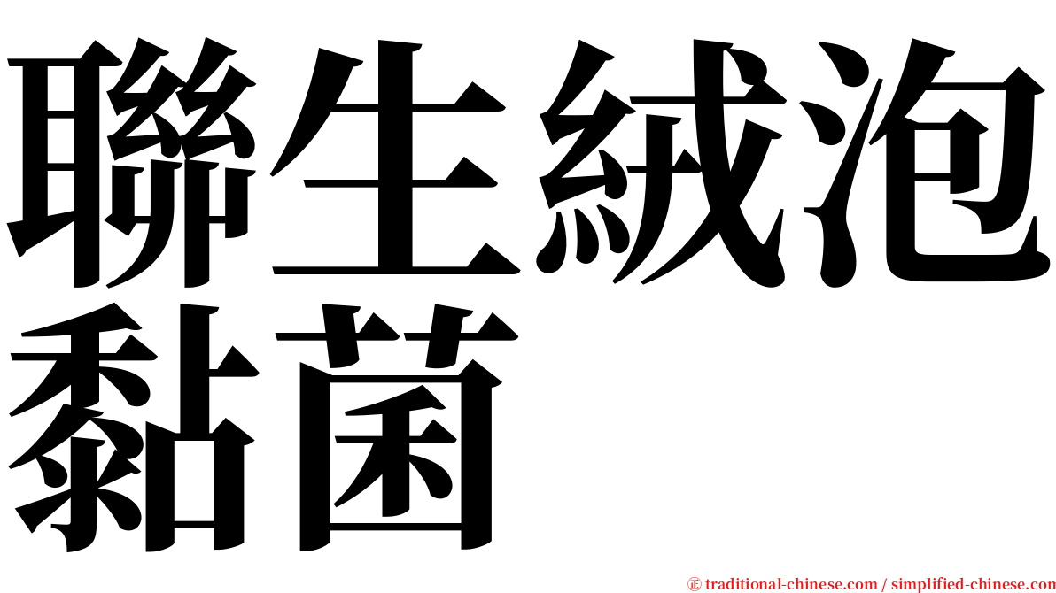 聯生絨泡黏菌 serif font