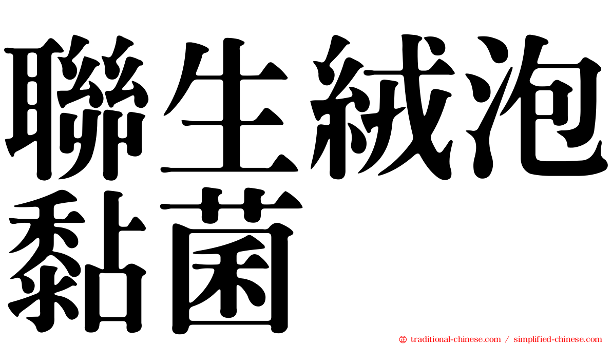 聯生絨泡黏菌