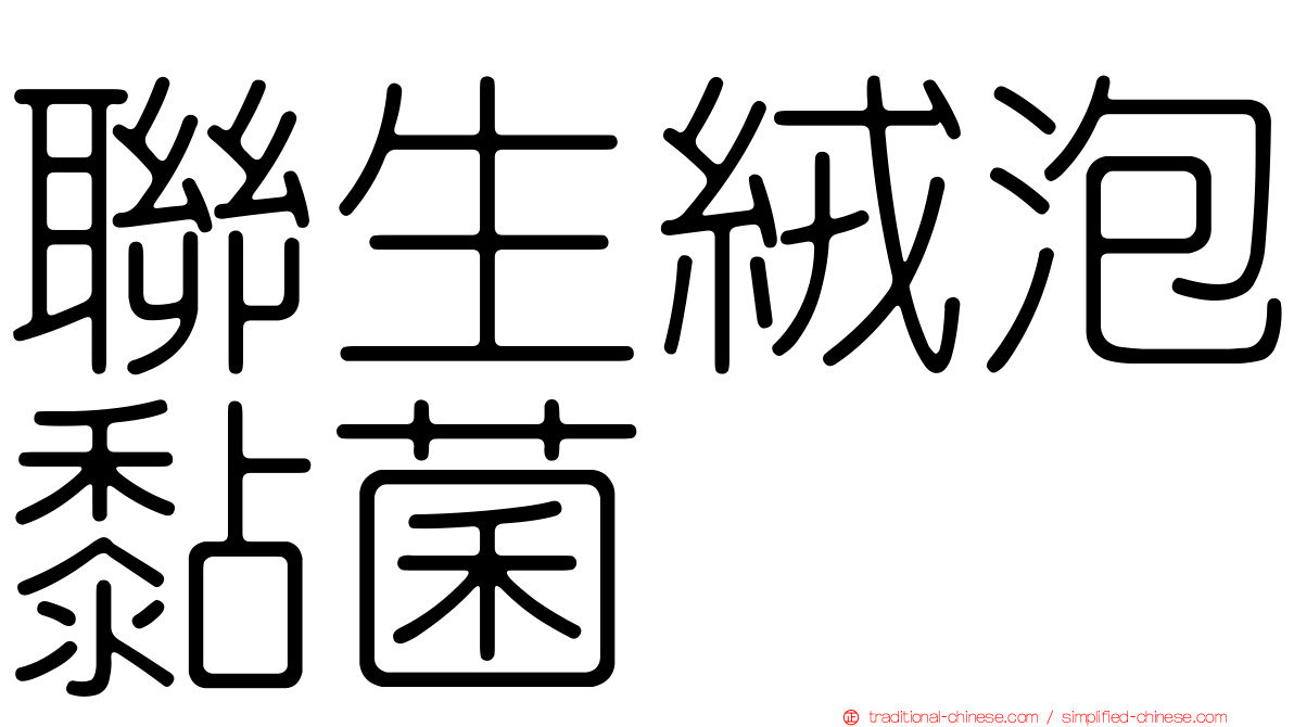 聯生絨泡黏菌