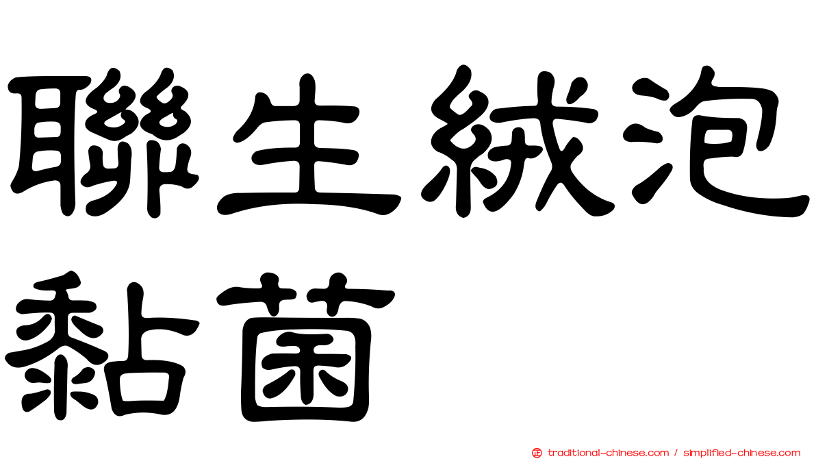 聯生絨泡黏菌