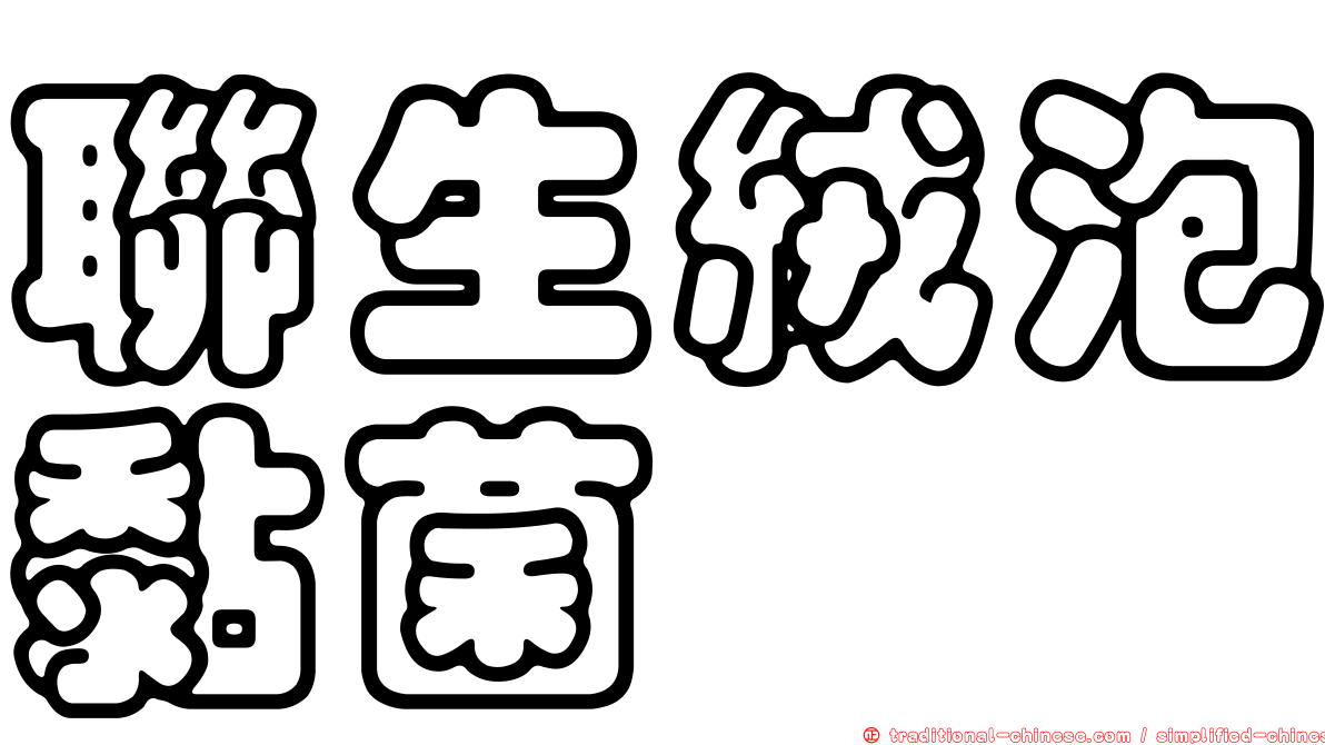 聯生絨泡黏菌