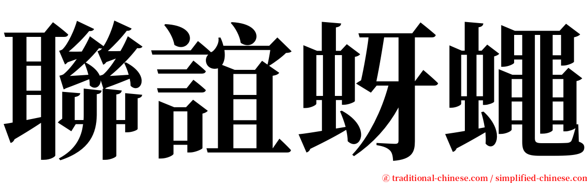 聯誼蚜蠅 serif font