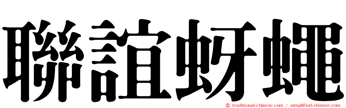 聯誼蚜蠅