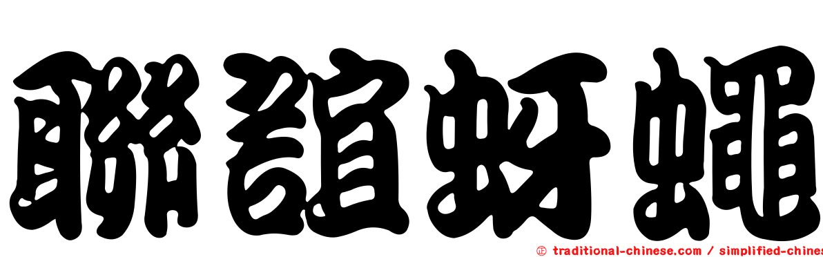 聯誼蚜蠅