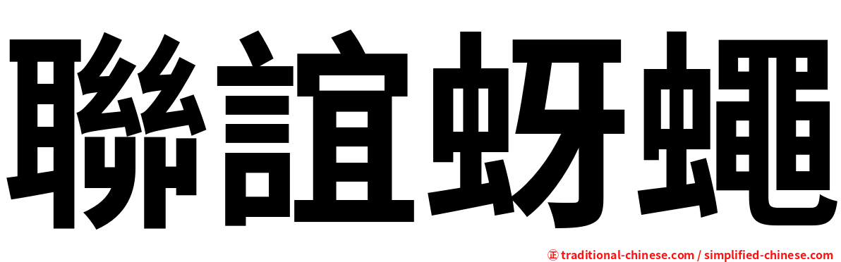 聯誼蚜蠅
