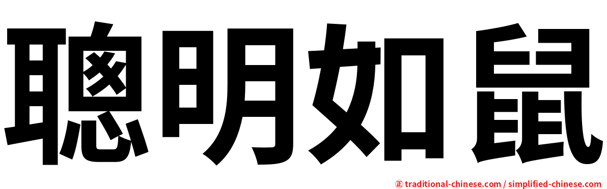 聰明如鼠