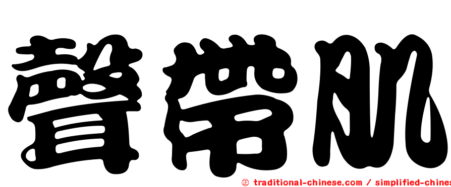 聲帶肌