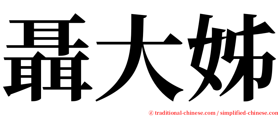 聶大姊 serif font