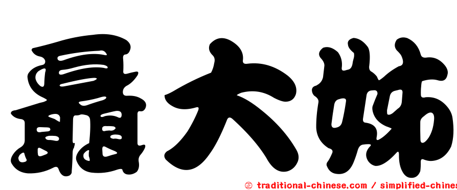 聶大姊