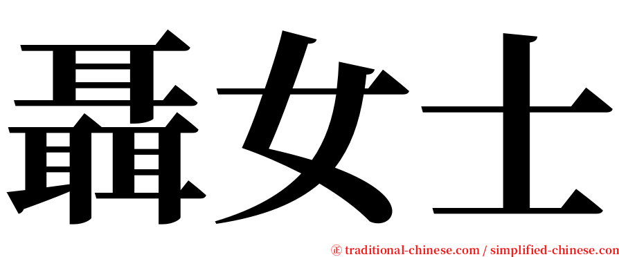 聶女士 serif font