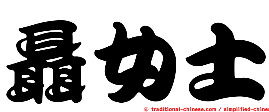 聶女士