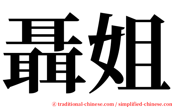 聶姐 serif font