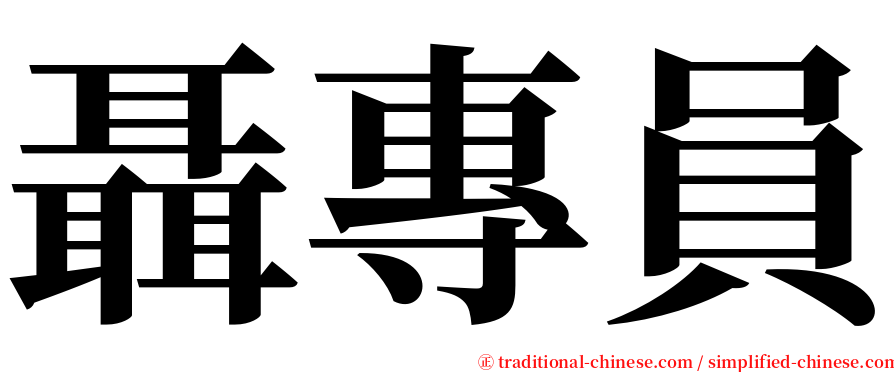 聶專員 serif font