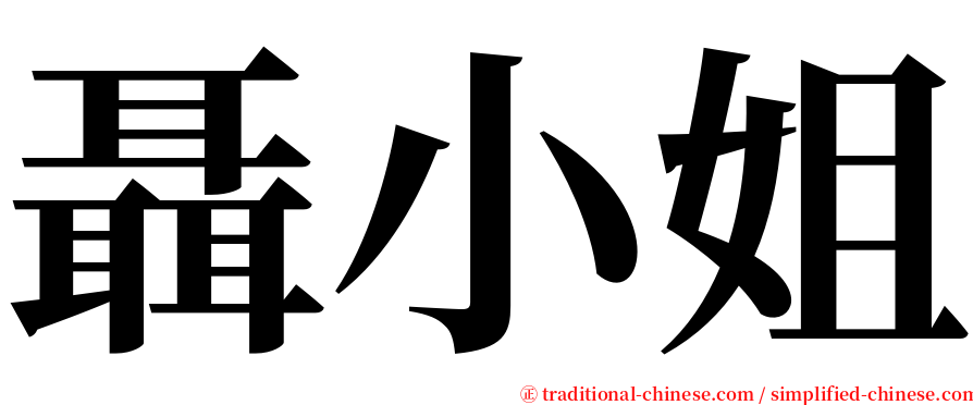 聶小姐 serif font