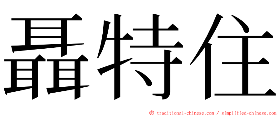 聶特住 ming font