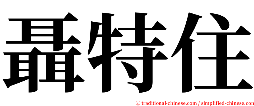 聶特住 serif font