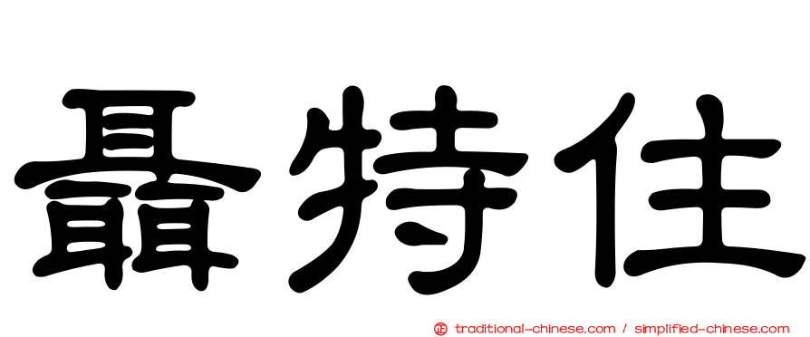 聶特住