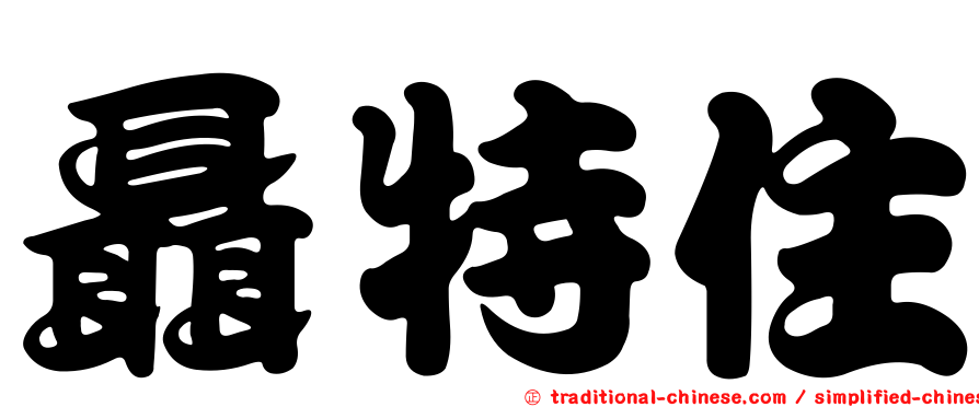 聶特住