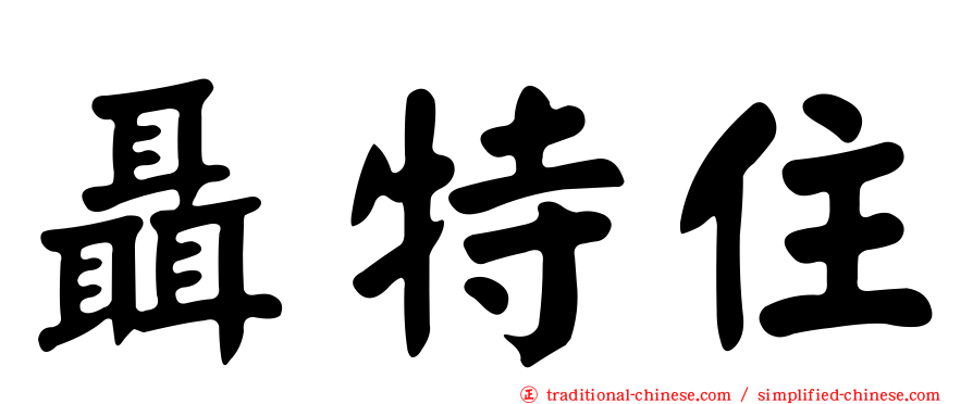 聶特住