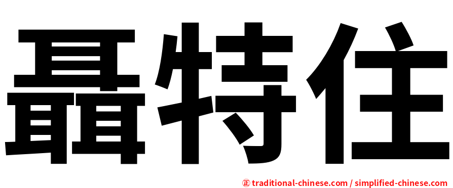 聶特住
