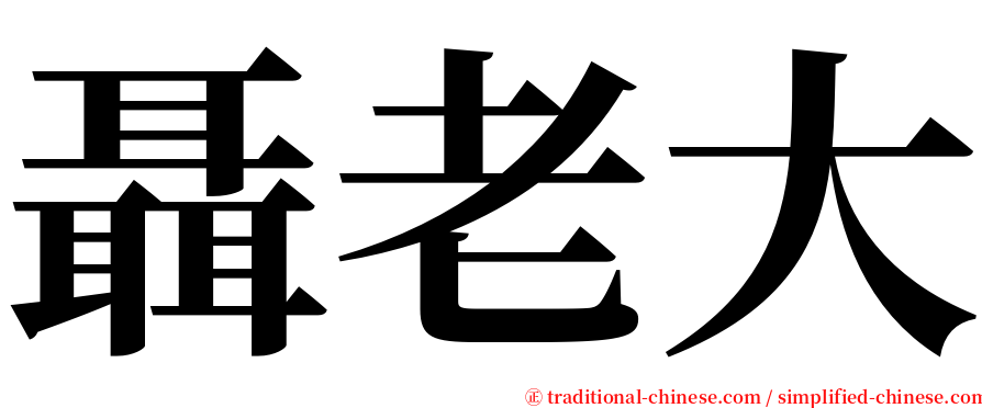 聶老大 serif font