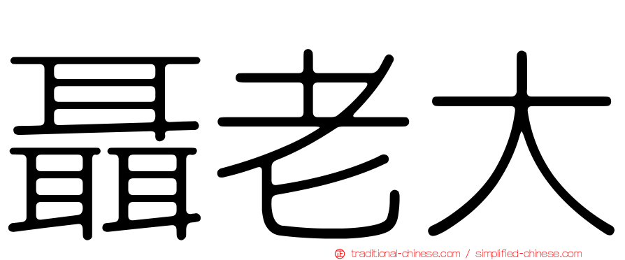 聶老大