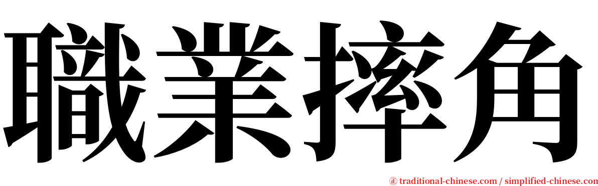 職業摔角 serif font