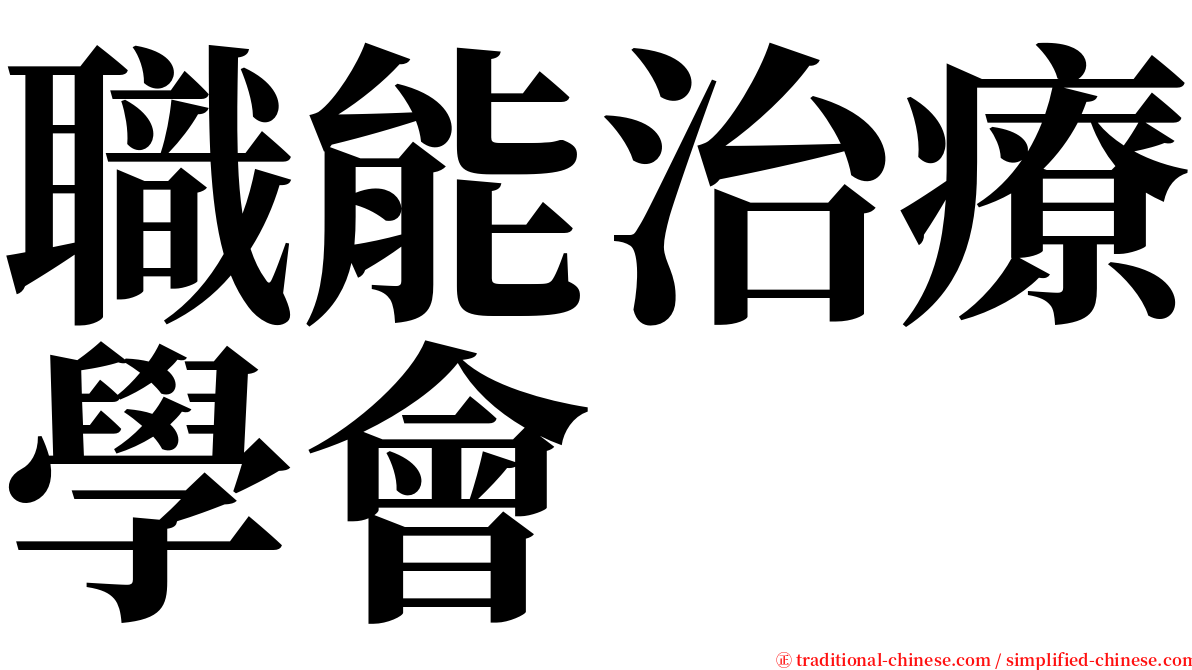 職能治療學會 serif font