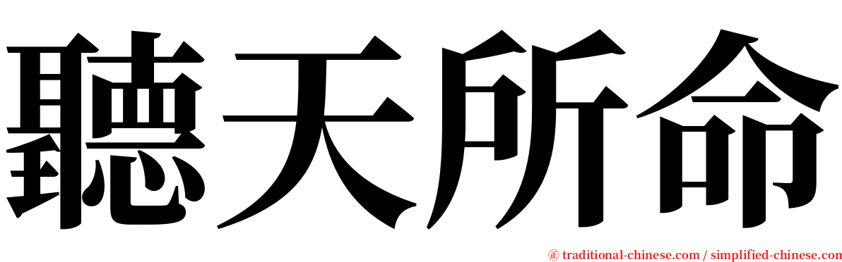 聽天所命 serif font