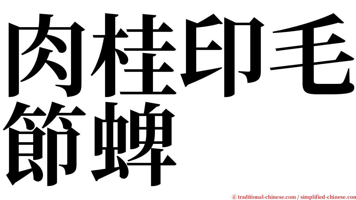 肉桂印毛節蜱 serif font