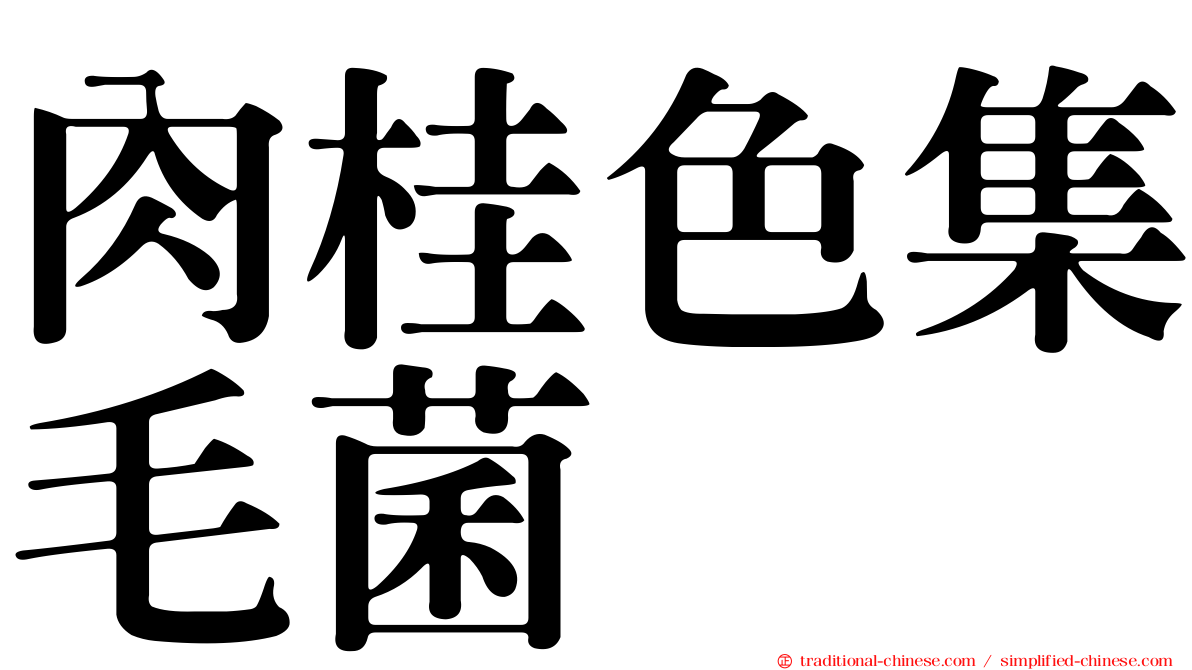 肉桂色集毛菌