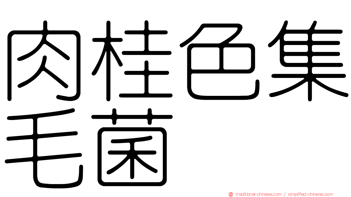 肉桂色集毛菌
