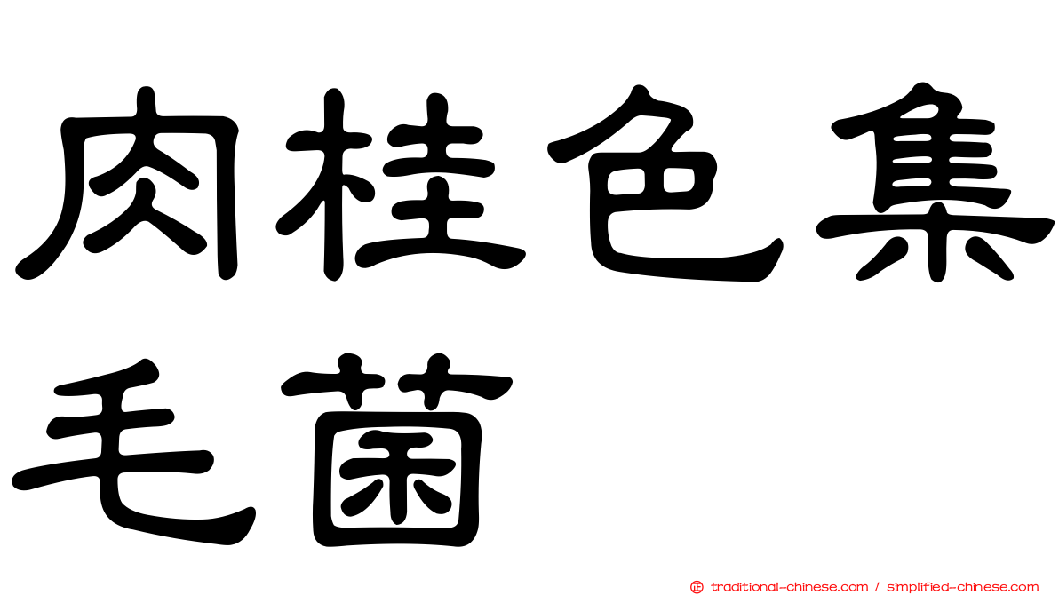 肉桂色集毛菌
